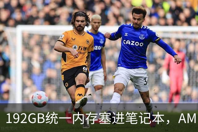 192GB统一内存塞进笔记本，AMD抢先英伟达一天亮出怪兽芯片